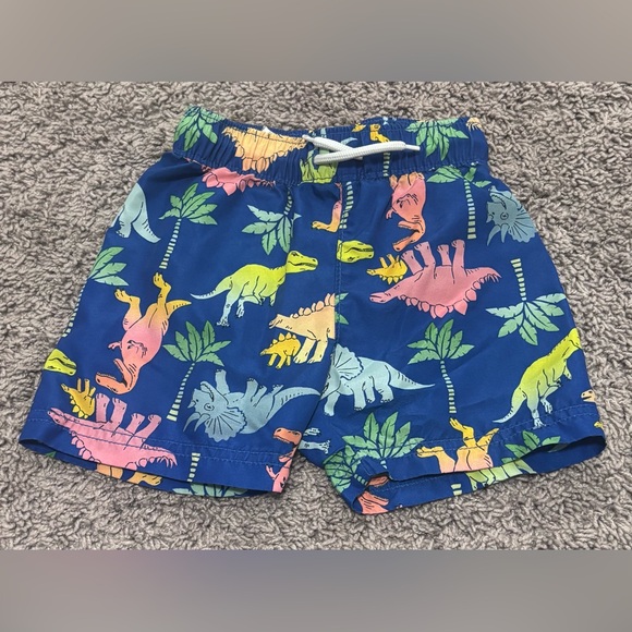 Dinosaur Swim Shorts - Toddler - Picture 1 of 1